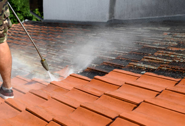 Best Pressure Washing Company Near Me  in Philadelphia, PA